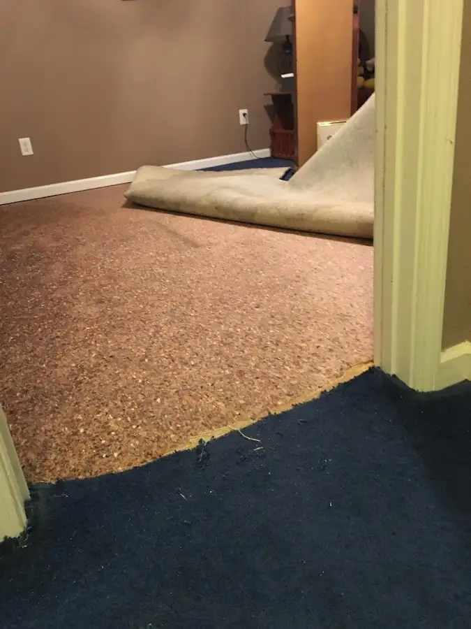 Carpet pad removal revealing water damage during Water Mitigation Services in Westbury